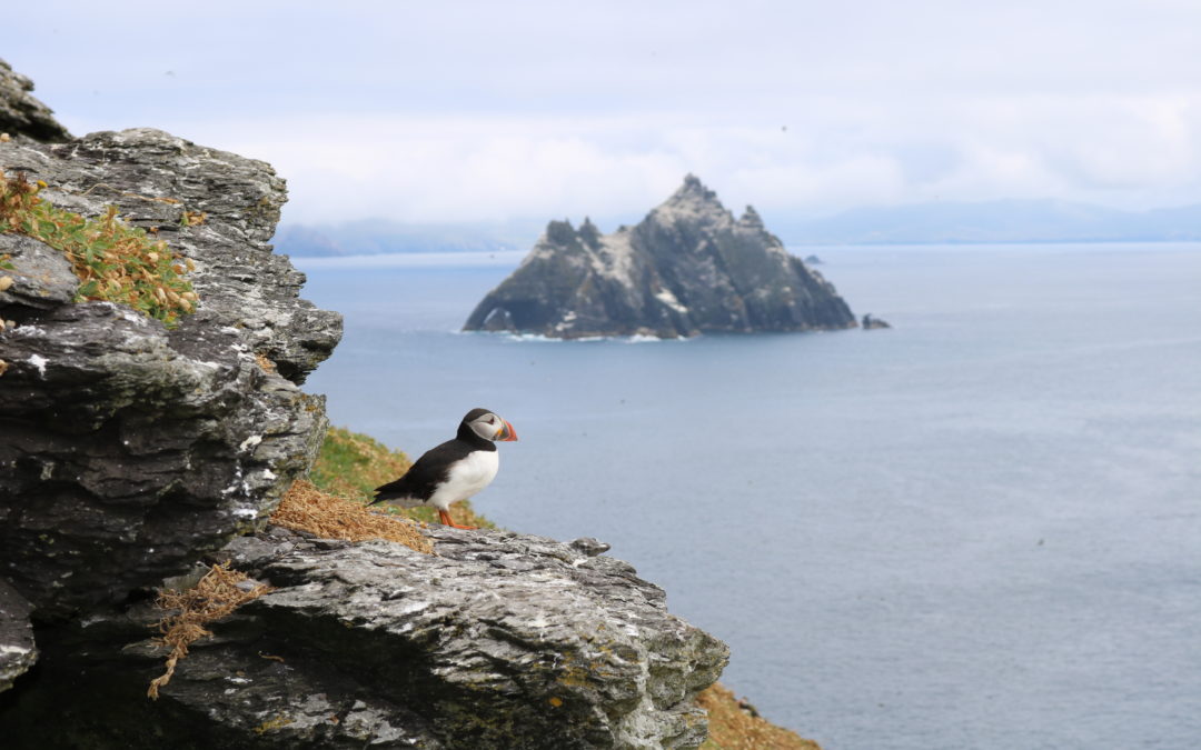 Skellig Prayer